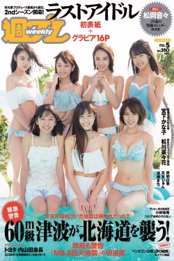 凤蝶直播