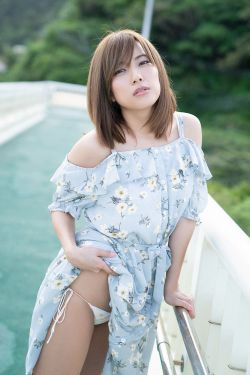 皮皮龟