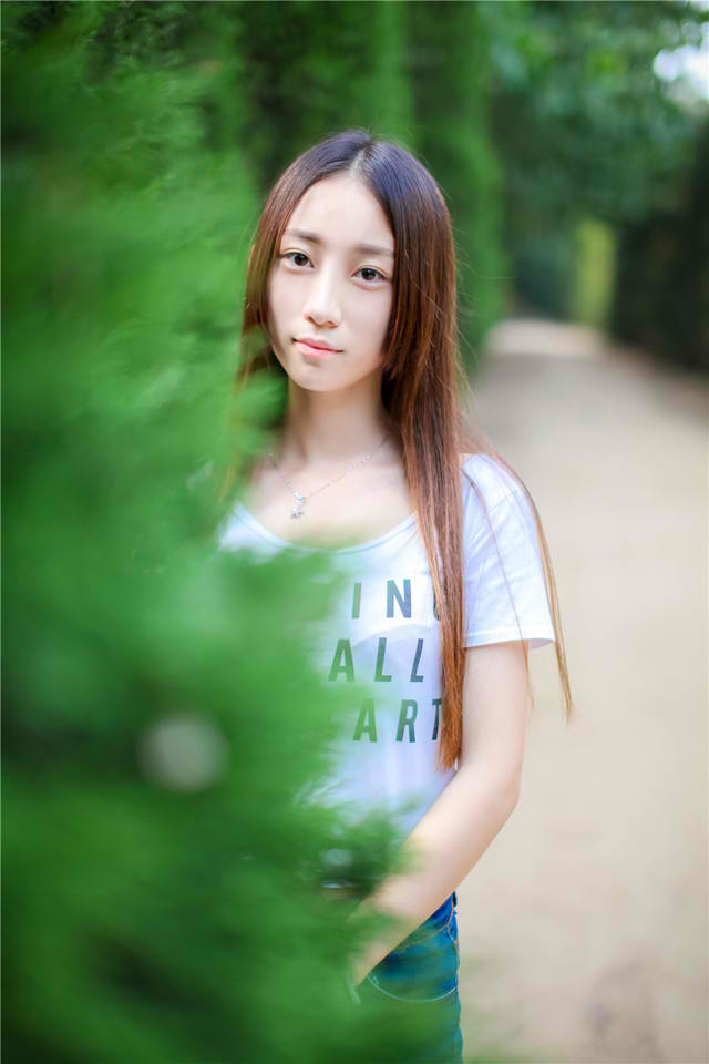 林肯律师