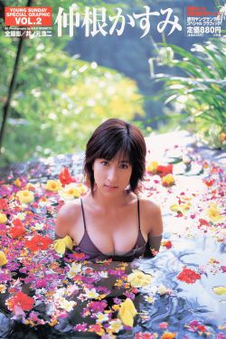 欧美成人H版泰山134
