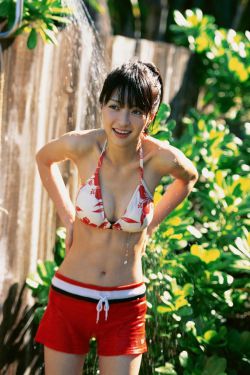 沉香如屑电视剧免费观看全集