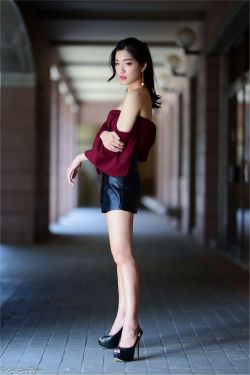 蔷薇风暴电视剧在线观看高清