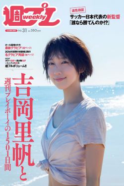 护国良相狄仁杰之风摧边关