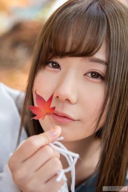 青山处处埋忠骨何须马革裹尸还