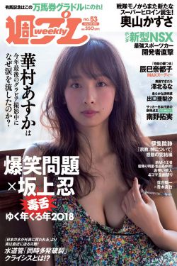 《投机少爷网易博客》