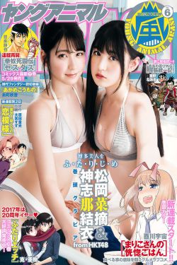 胡奇才决战新开岭