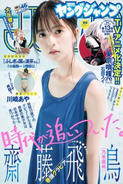 《平凡英雄》