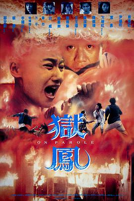 天天躁狠狠躁夜躁2020