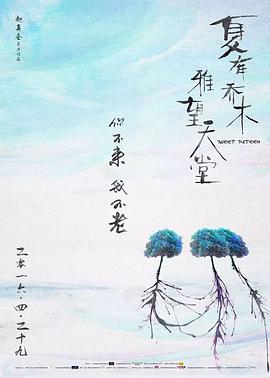 如懿传为什么下架
