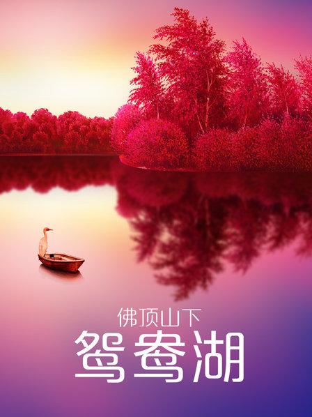 老男孩美国