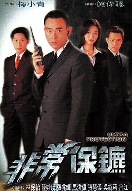 三极片日本