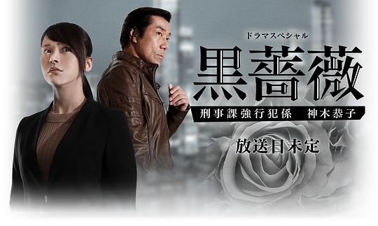 埃及猫跳舞视频无挡