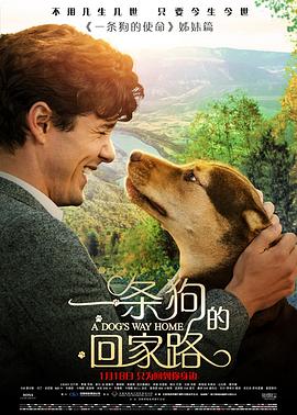 美食攻略