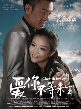 碧血剑在线观看