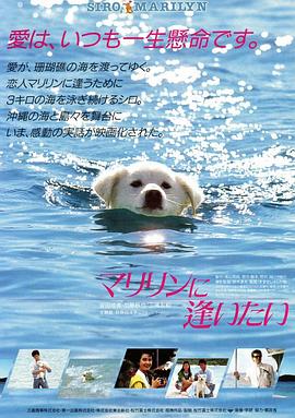 黑帮大佬和我的第365第二季