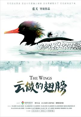 天下第一日本视频社区动漫