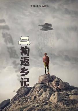 潘粤明董洁离婚原因