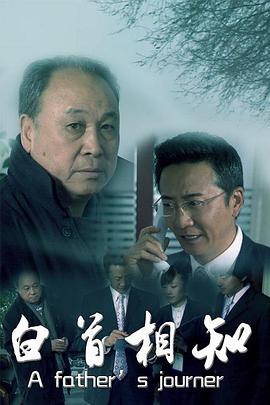 风暴舞