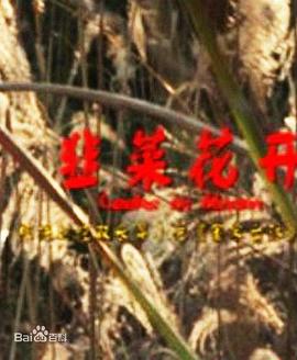 甜蜜惩罚樱花未增删翻译中文翻译