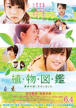 乡村爱情5小夜曲