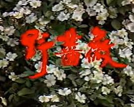 小洞饿了想吃大香肠怎么办