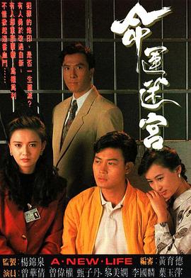 天天在线干